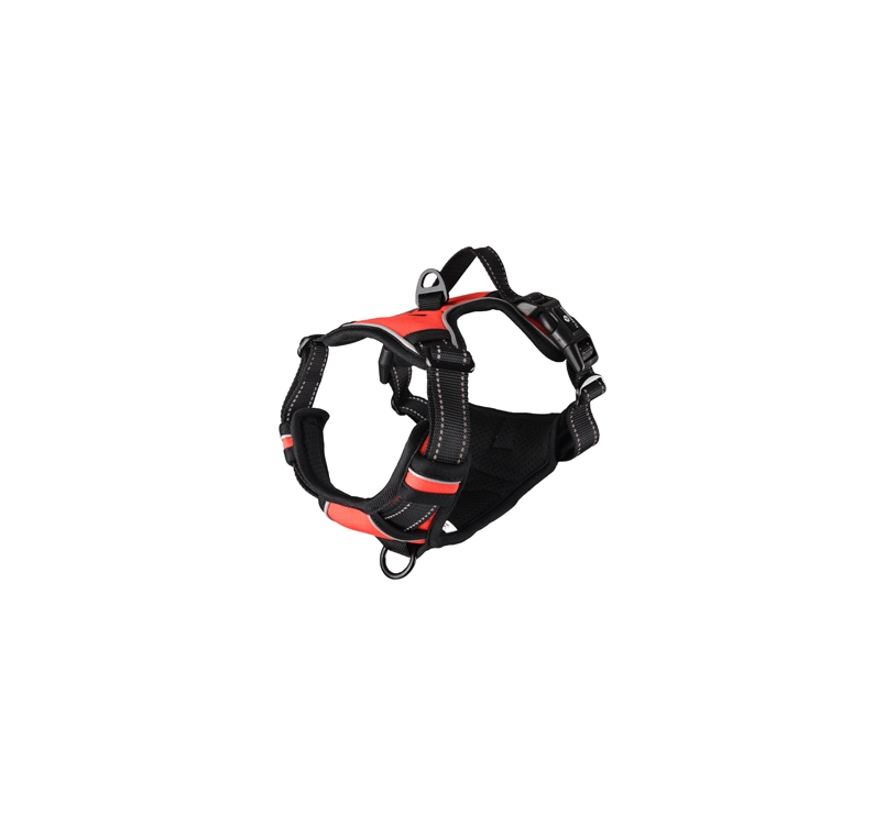 Harness Balou Red M 50-65cm x 25mm