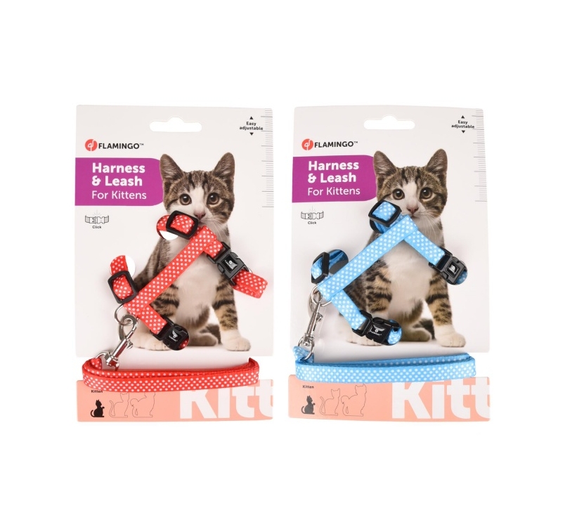 Kitten Harness + Leash Aiwa 15-25cm 10mm 