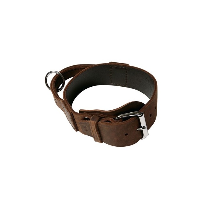 Klin Nahast Kaelarihm Varruka Treeninguks 50mm x 42-48cm