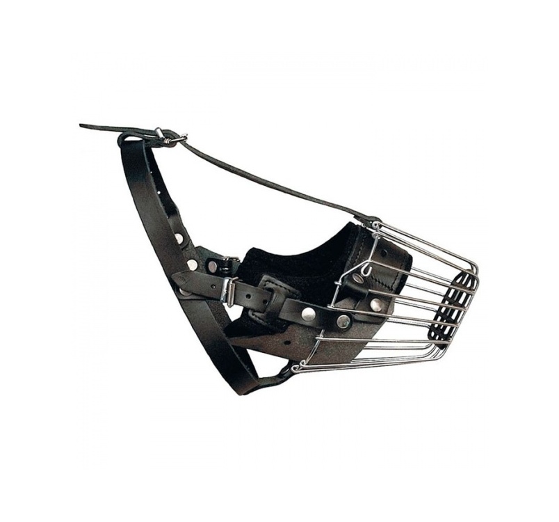 13939-klin_metallist_suukorv_bullterjerile.jpg
