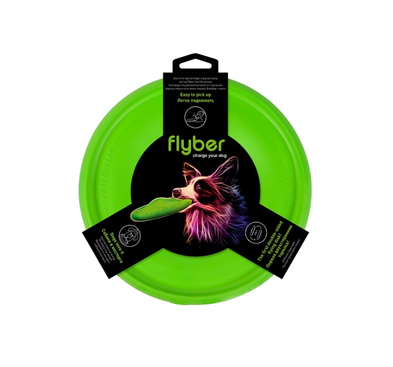 Flyber Flying Disc Ø 22 cm, Green