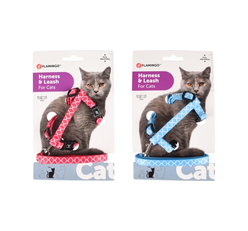 Cat Harness Amsi + Leash