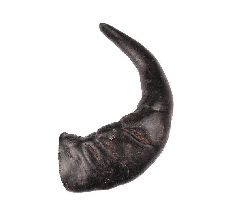 Nature Snack Buffalo Horn 1pcs L