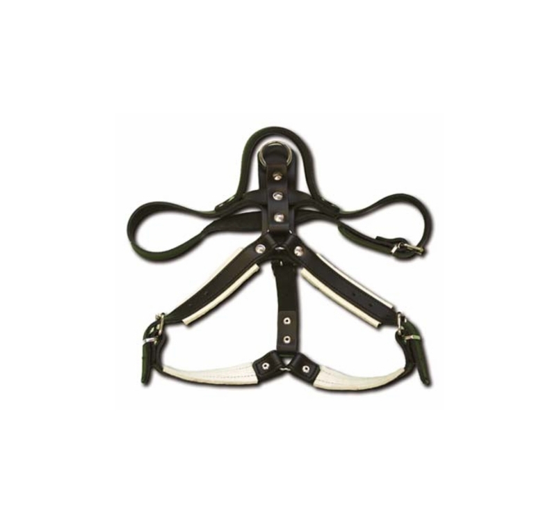 Gappay Leather Harness for Defence with Handle (males)
