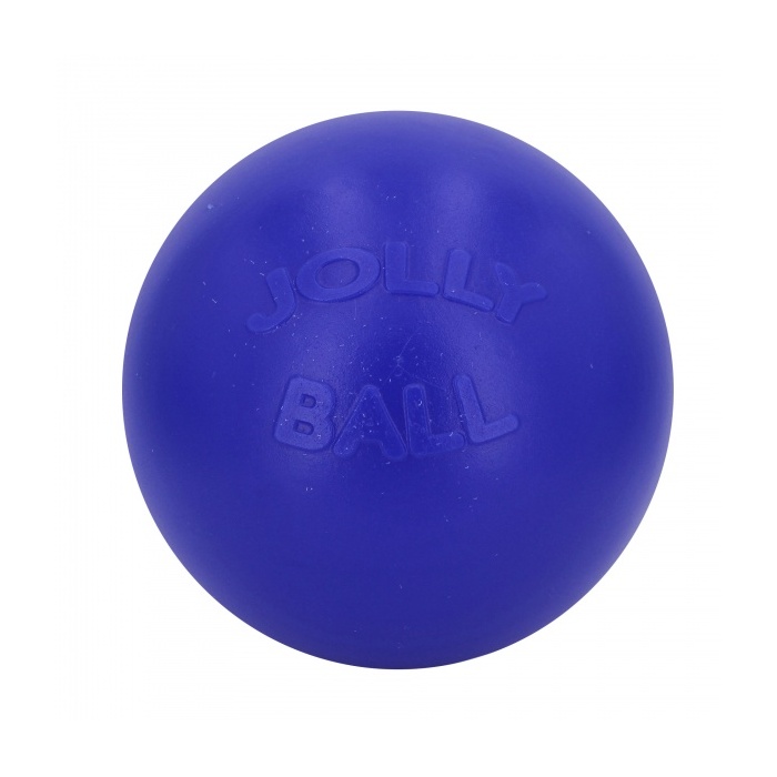 Jolly Mänguasi Koerale Push-n-Play, Sinine 25,4cm (Ujub vees)
