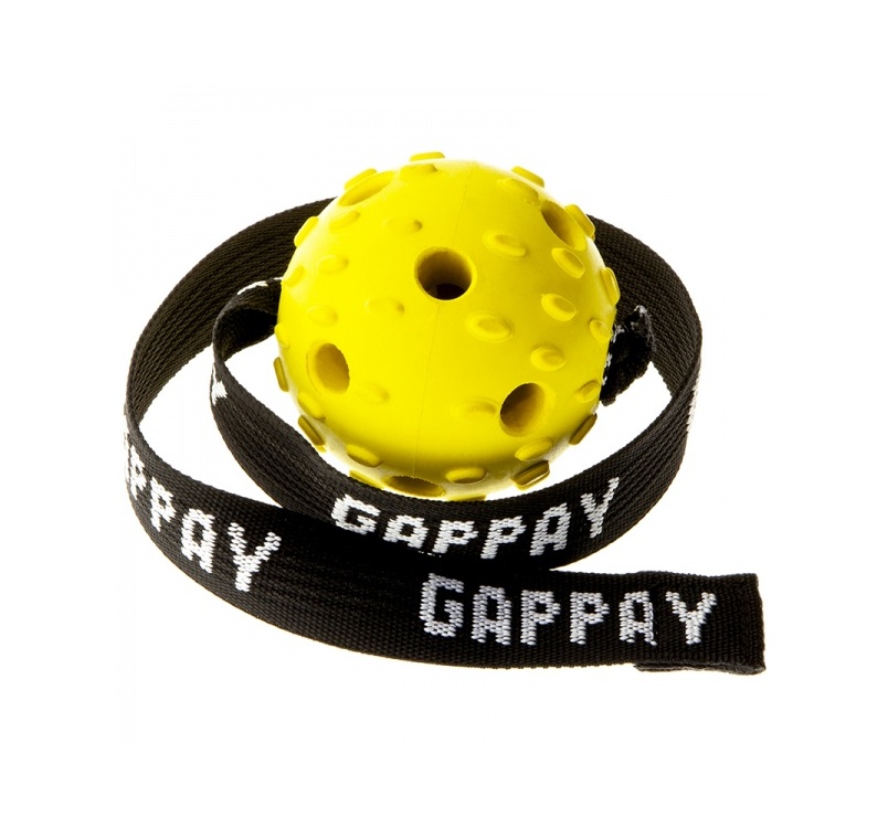 15847-gappay_pall_air.jpg