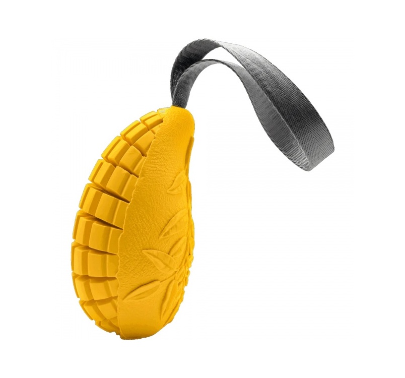 16157-sprenger_koera_manguasi_fruit_challenge_mango_d.jpg