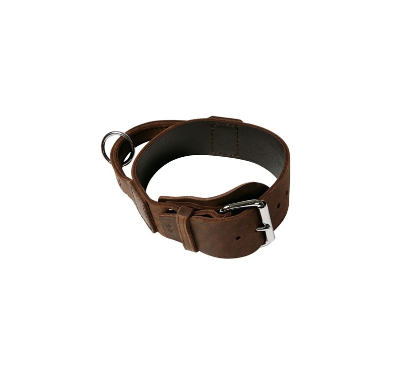 Klin Collar with Handle 50mm x 60cm