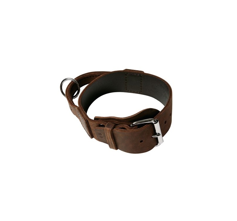 Klin Collar with Handle 50mm x 38-48cm