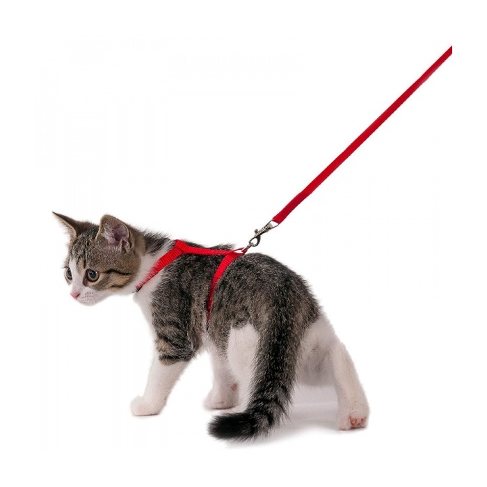 Flamingo Kitten Harness + Leash Red 120cm