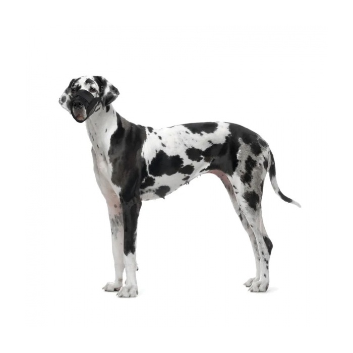 Flamingo Pehme Suukorv Reguleeritav L/XL