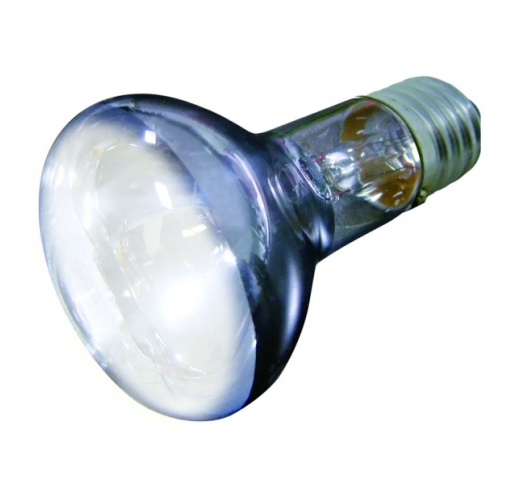 Terraariumi Lamp 50W