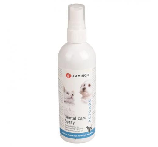 Dental Care Spray 175ml