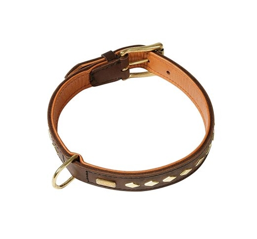 Klin Leather Collar with Studs 30mm x 50cm