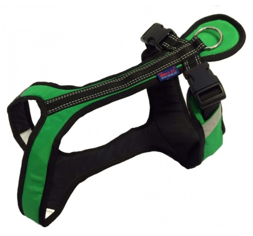 Zero Harness Short Small Medium (Different Colors)