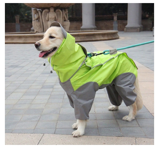 Raincoat for Dogs 43cm