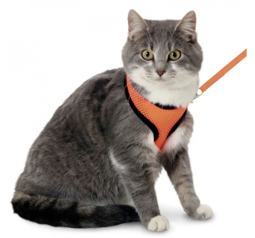 Cat Harness with Leash S 32-41cm Orange/Black
