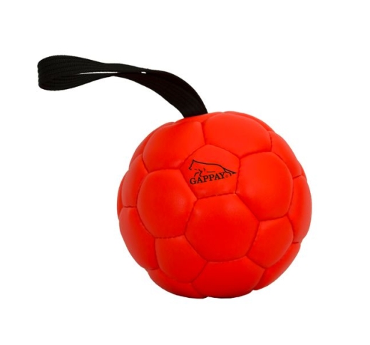Gappay Leather Training Ball 16cm