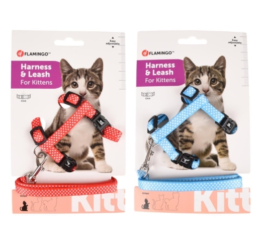 Kitten Harness Aiwa + Leash