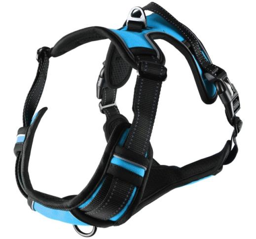 Harness Balou Blue M 50-65cm x 25mm