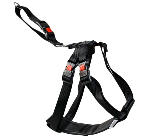 Car Safety Harness S 35-50cm
