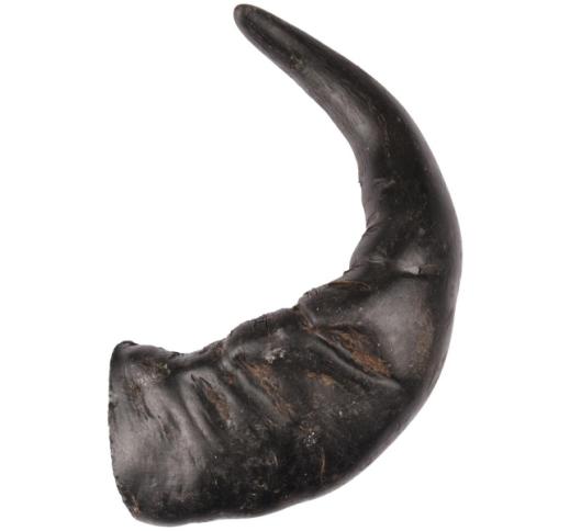 Nature Snack Buffalo Horn 1pcs L