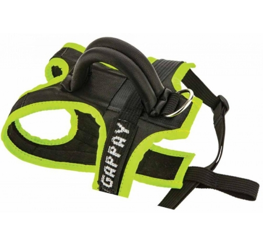 Gappay STRAP Harness for Puppy L