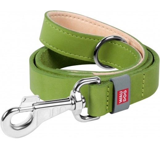 Waudog Classic Leather Leash Green 20mm x 122cm