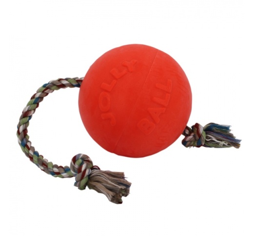 Dog Toy Romp-n-Roll Orange 20cm