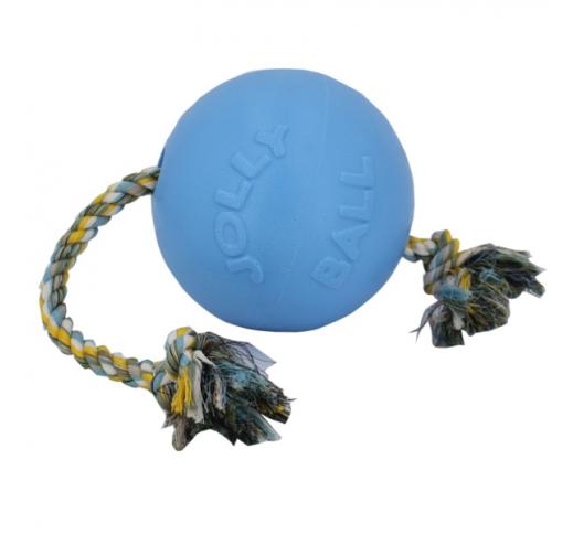 Dog Toy Romp-n-Roll Light blue 20cm