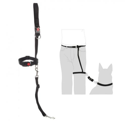 Jogging & Walking Leash Legleader