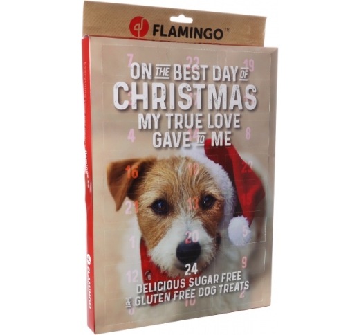 Christmas Calendar for Dogs (24 Snacks)