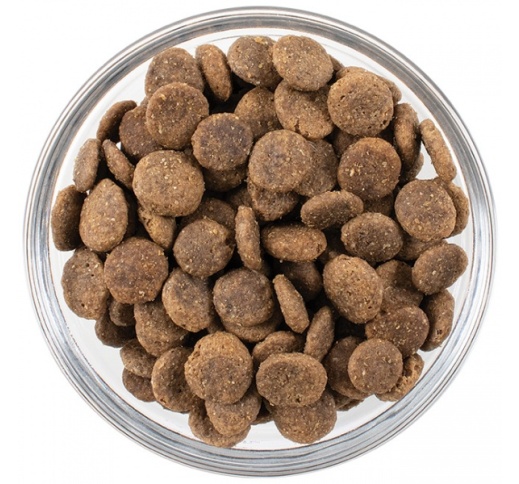 Go! Solutions Dog Food Sample