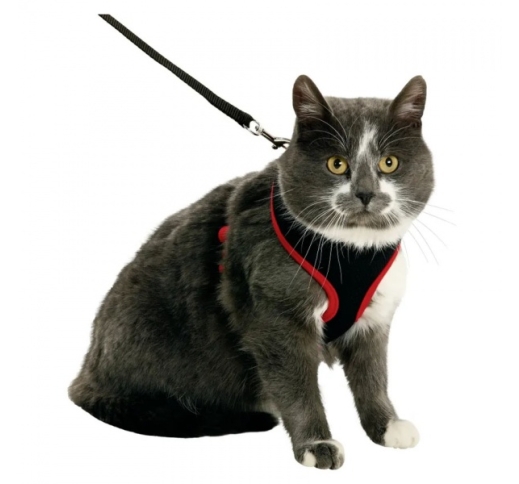 Cat Harness with Leash M Black/Red