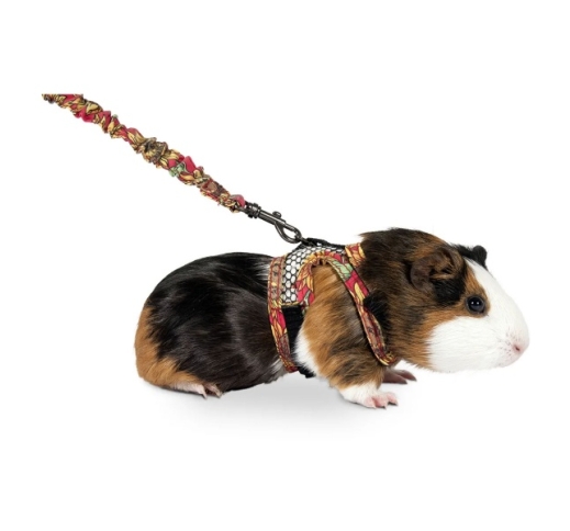 Chest Harness and Lead for Ferret or Guinnea Pig