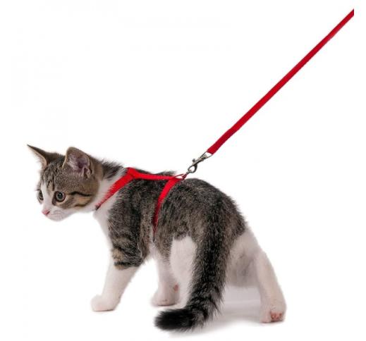 Kitten Harness + Leash Red 120cm