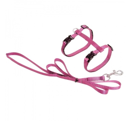 Flamingo Traksid Kassile Roosa + Jalutusrihm