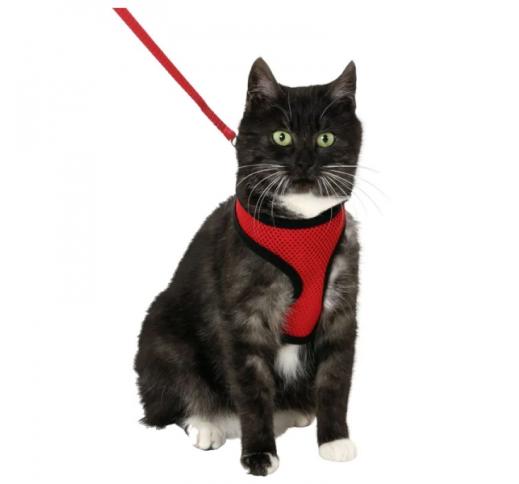 Cat Harness with Leash M Red