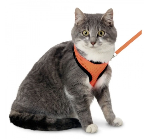 Cat Harness with Leash M Orange