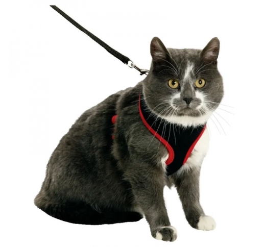 Cat Harness with Leash L Red