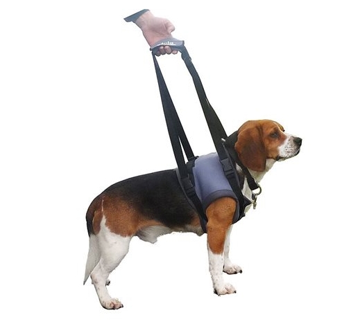 Klin Harness for Sick Dogs S (Front Legs)