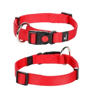 Ошейник для собаки, красный 15мм x 30-45см