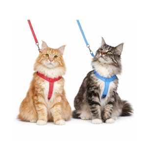 Flamingo Шлейка для большой кошки + поводок Aiwa