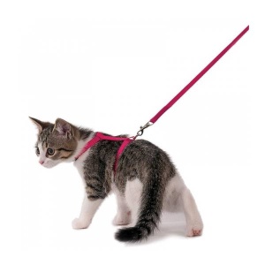 Flamingo Kitten Harness + Leash Cherry Red 120cm
