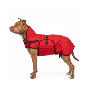 Zero Red Winter Coat for Dogs 60cm