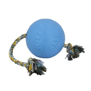 Dog Toy Romp-n-Roll Light blue 20cm