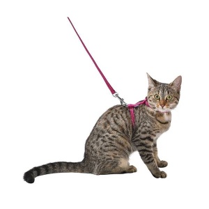 Bobby Шлейка для кошек "Safe", Фуксия 25-38см
