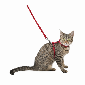 Bobby Шлейка для кошек "Safe", красный 25-38см