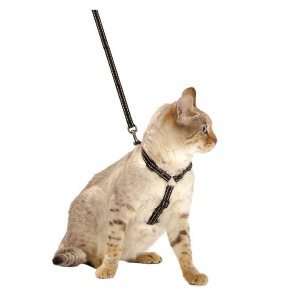 Bobby Cat Harness "Safe", Black 25-38cm