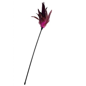 Croci Kassi Mänguasi Sulgedega Õng 47cm